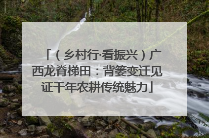 （乡村行·看振兴）广西龙脊梯田：背篓变迁见证千年农耕传统魅力