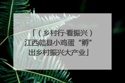 （乡村行·看振兴）江西赣县小鸡蛋“孵”出乡村振兴大产业