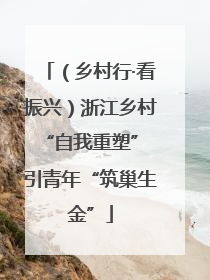（乡村行·看振兴）浙江乡村“自我重塑” 引青年“筑巢生金”