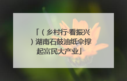 （乡村行·看振兴）湖南石鼓油纸伞撑起富民大产业