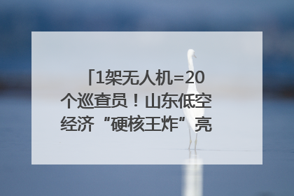 1架无人机=20个巡查员！山东低空经济“硬核王炸”亮相青岛，下一个万亿赛道藏在这里