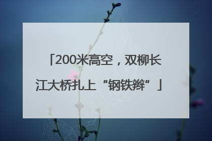 200米高空，双柳长江大桥扎上“钢铁辫”
