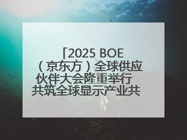 2025 BOE（京东方）全球供应伙伴大会隆重举行 共筑全球显示产业共生共赢新格局