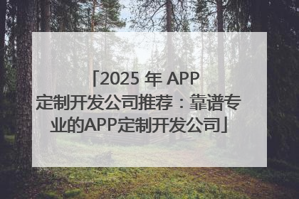 2025 年 APP 定制开发公司推荐：靠谱专业的APP定制开发公司