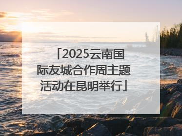 2025云南国际友城合作周主题活动在昆明举行
