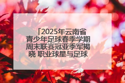 2025年云南省青少年足球春季学期周末联赛冠亚季军揭晓 职业球星与足球小将共享荣耀时刻