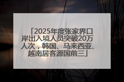 2025年度张家界口岸出入境人员突破20万人次，韩国、马来西亚、越南居客源国前三