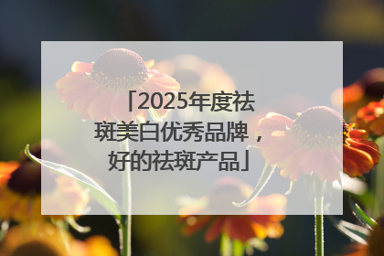 2025年度祛斑美白优秀品牌，好的祛斑产品