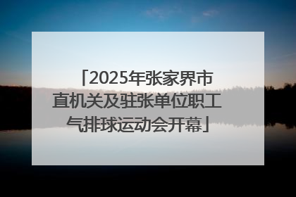 2025年张家界市直机关及驻张单位职工气排球运动会开幕