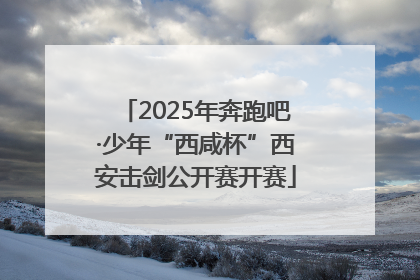 2025年奔跑吧·少年“西咸杯”西安击剑公开赛开赛