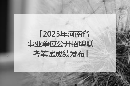 2025年河南省事业单位公开招聘联考笔试成绩发布
