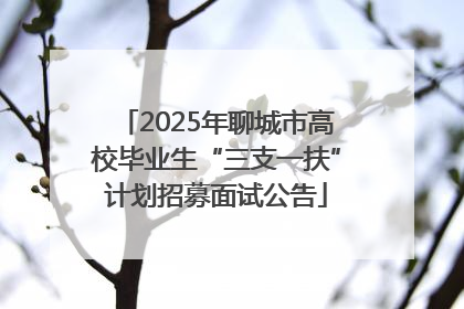 2025年聊城市高校毕业生“三支一扶”计划招募面试公告