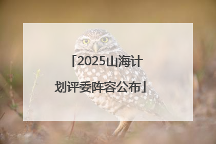 2025山海计划评委阵容公布