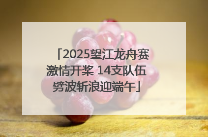 2025望江龙舟赛激情开桨 14支队伍劈波斩浪迎端午