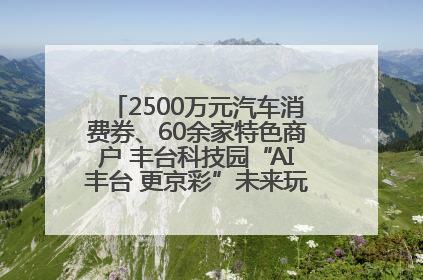 2500万元汽车消费券、60余家特色商户 丰台科技园“AI丰台 更京彩”未来玩家市集活动正式开幕