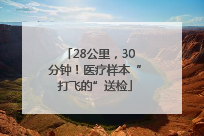 28公里，30分钟！医疗样本“打飞的”送检
