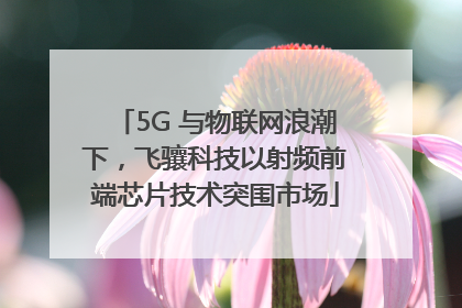 5G 与物联网浪潮下，飞骧科技以射频前端芯片技术突围市场