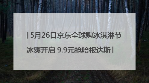 5月26日京东全球购冰淇淋节冰爽开启 9.9元抢哈根达斯
