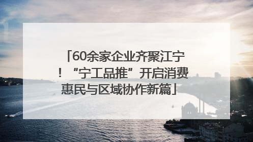 60余家企业齐聚江宁！“宁工品推”开启消费惠民与区域协作新篇