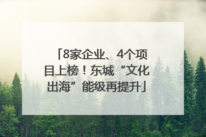 8家企业、4个项目上榜！东城“文化出海”能级再提升