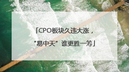 CPO板块久违大涨，“易中天”谁更胜一筹