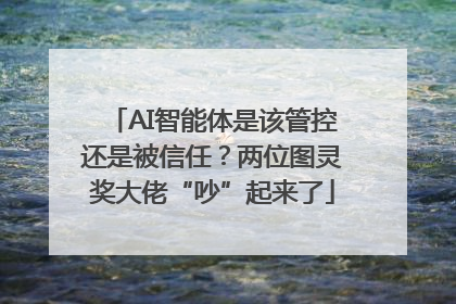 AI智能体是该管控还是被信任？两位图灵奖大佬“吵”起来了