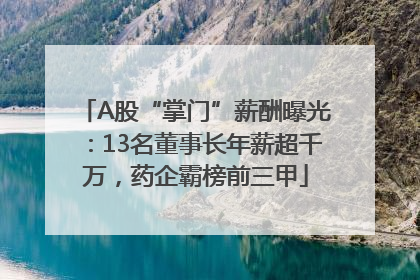 A股“掌门”薪酬曝光：13名董事长年薪超千万，药企霸榜前三甲