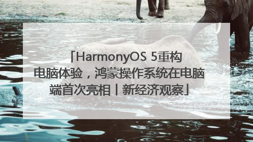 HarmonyOS 5重构电脑体验，鸿蒙操作系统在电脑端首次亮相丨新经济观察