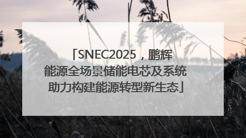 SNEC2025，鹏辉能源全场景储能电芯及系统助力构建能源转型新生态